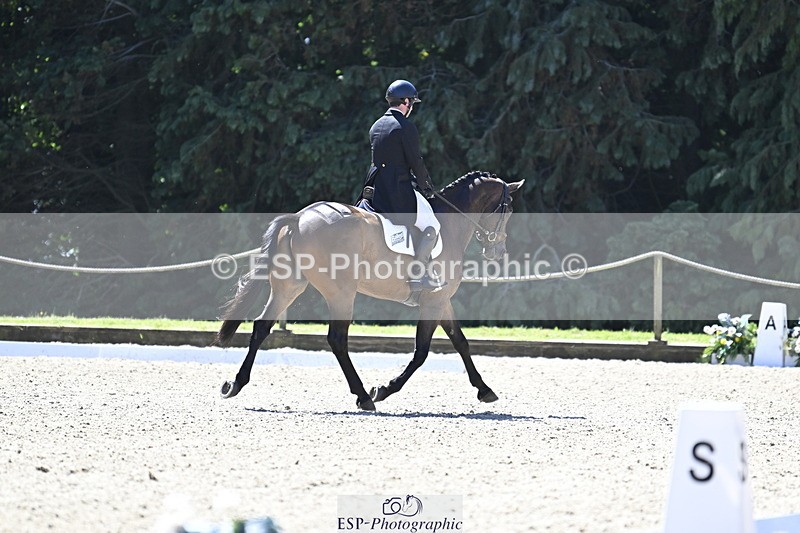 250522A-111902-03068 - B-317-Rupert.Batting-COOMBELAND.TALISMAN