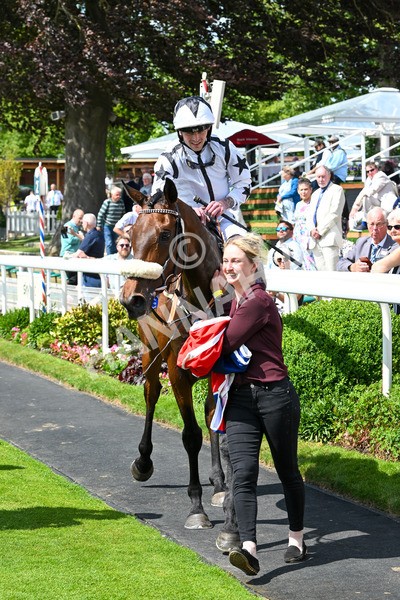 140625-Race 3-Al Qareem-2573 - Race 3 3.00pm Sky Bet Race To The Ebor Grand Cup Stakes