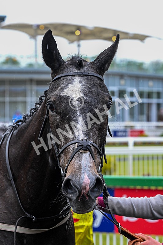 160526-Race 7-Brighton Boy-0162 - Race 7 5.25pm Sky Bet Price Boosts Handicap