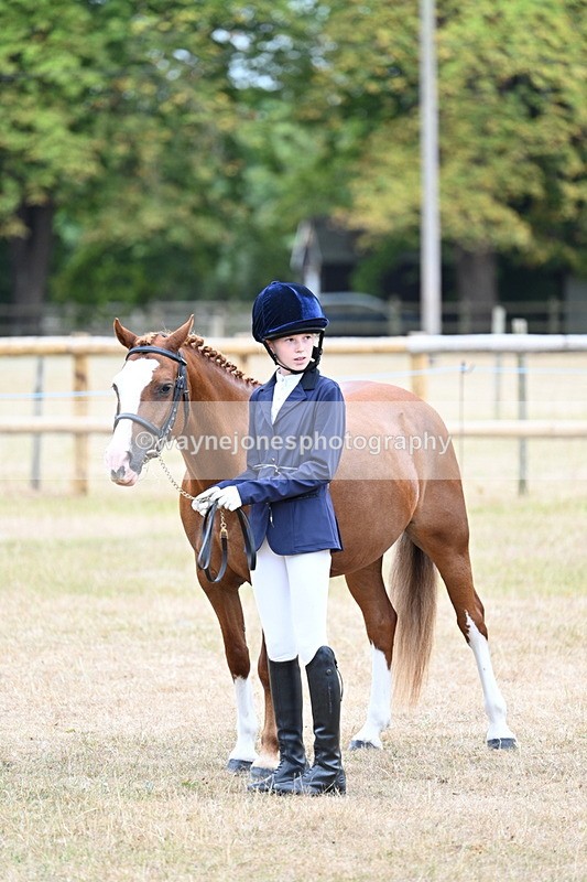 WJ7_8123 - Class 4 Prettiest Mare up to 14.2hh