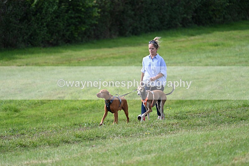 WJ7_7256 - Time 13:13 to 13:20