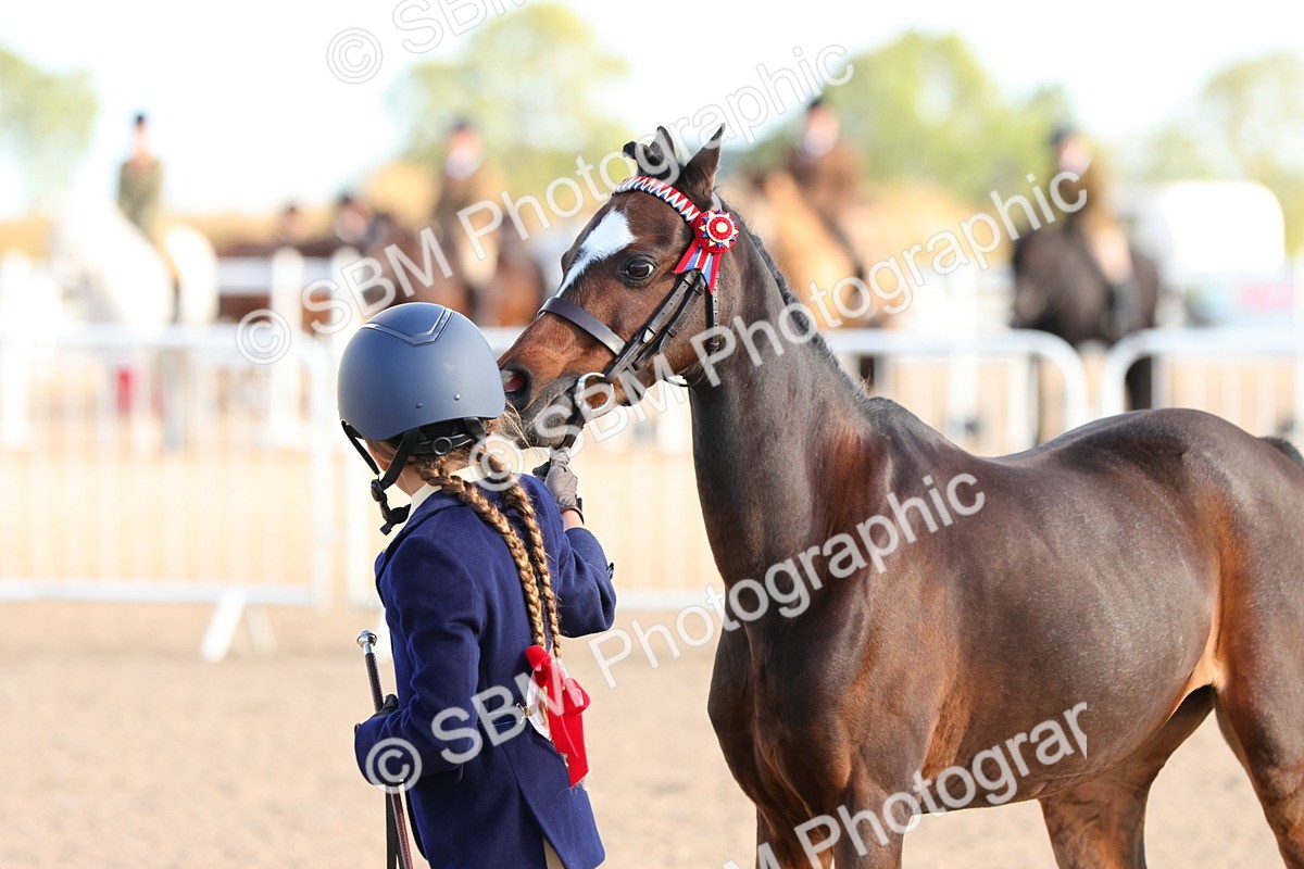 SBM_08661 - Class 203 - Young Handler 10 Years and Under