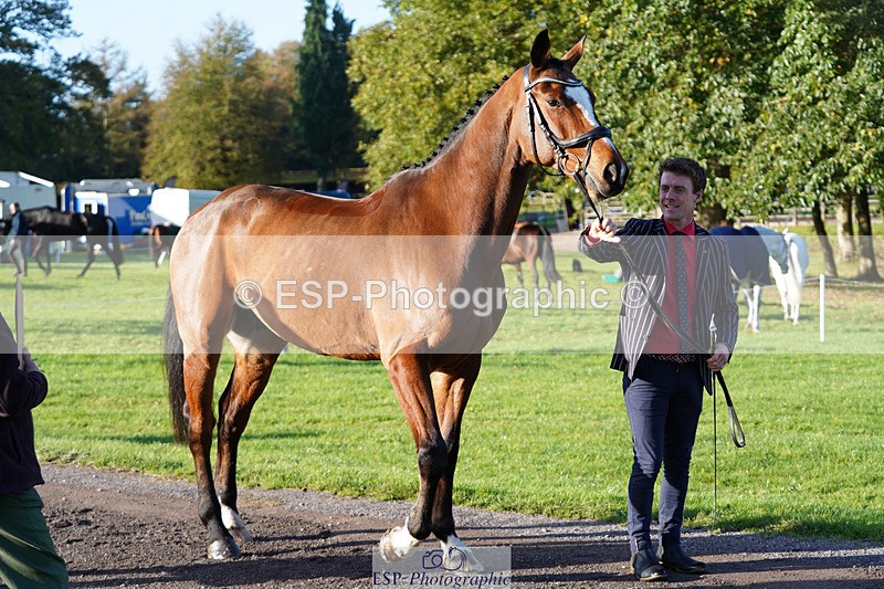 241026-100434-11585 - 013-Cameron.Beer-GREENLANES.LE.BAMBALOU