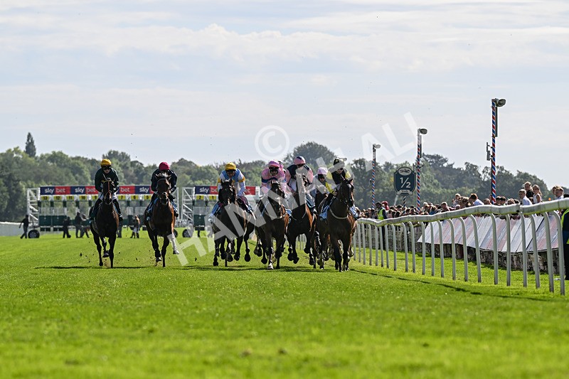 060926-Race 3-Moon Chime-7538 - Race 3 2.40pm Hanson Springs Stayers Handicap