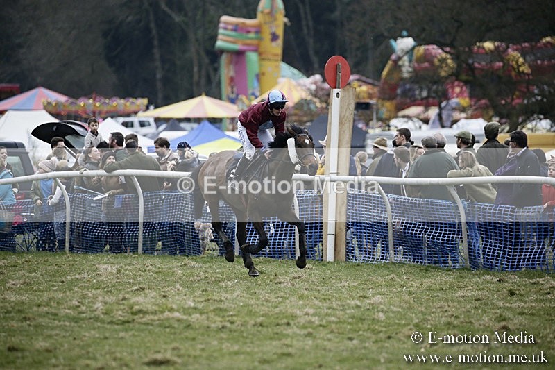 PtP 110318 597 - Hampshire Hunt Point-to-Point Hackwood Park 11/03/18