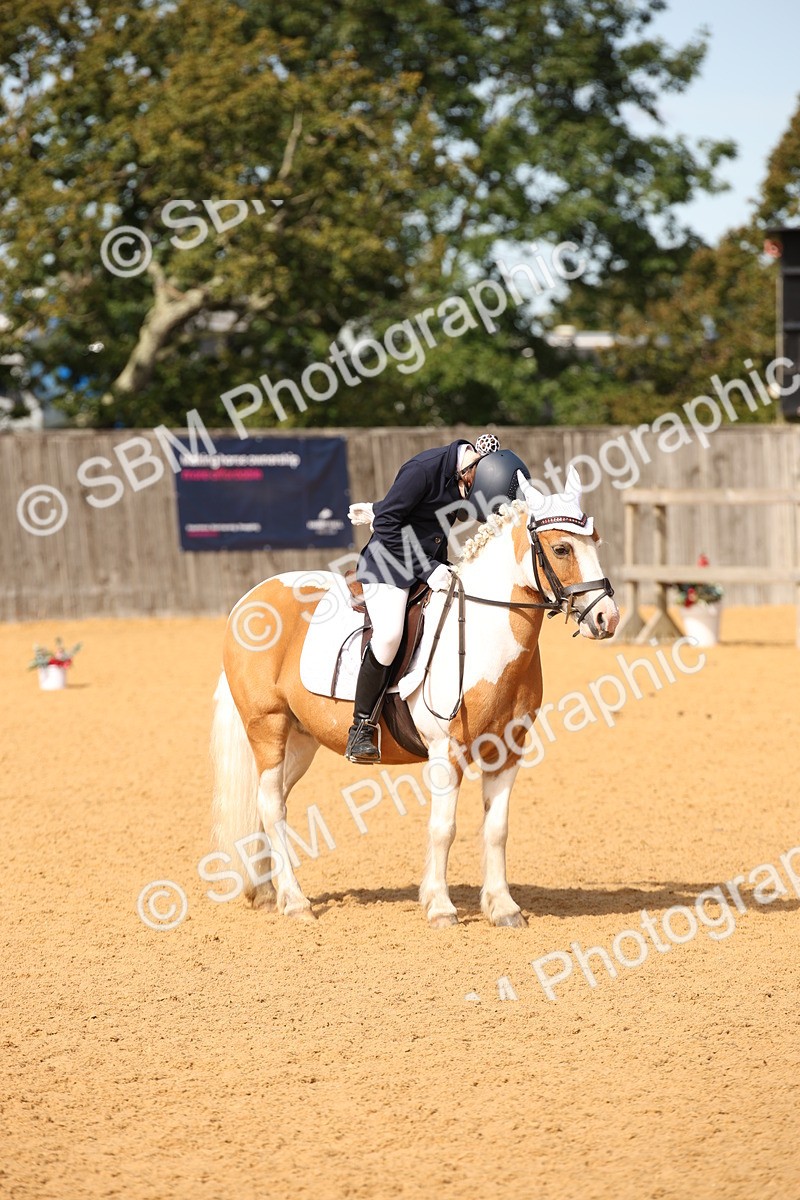 SBM_21810 - D5 - Small Tour Championship - Intro C