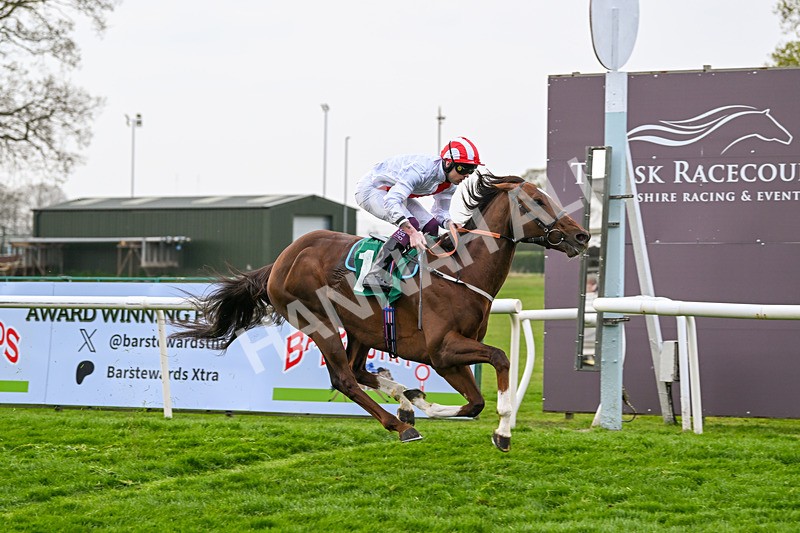 120425-Race 5-Majestic Warrior-1342 - Race 5