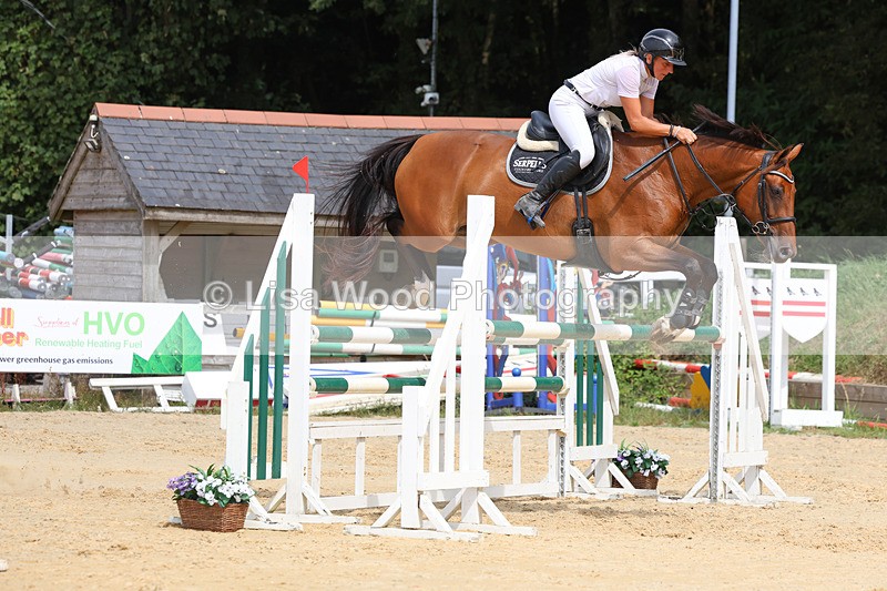 3E7A4265 - Class 8: Senior Foxhunter/1.20 open