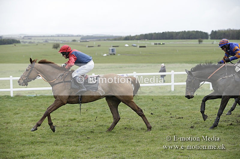 PtP 150320 0232 - New Forest Point-to-Point Larkhill 15/03/20
