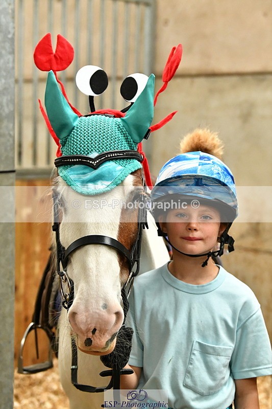 230804A-095228-02216 - Stable Shots