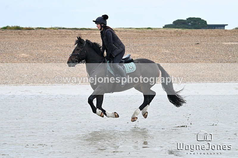 WJ7_8834 - Hayling Island Beach Shoot 22-09-24