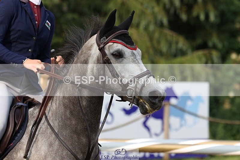 230617-081647-00140 - Cls 08a Pony 1.05