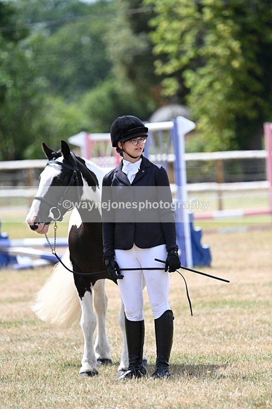 WJ7_1756 - Class 4 Prettiest Mare up to 14.2hh in hand