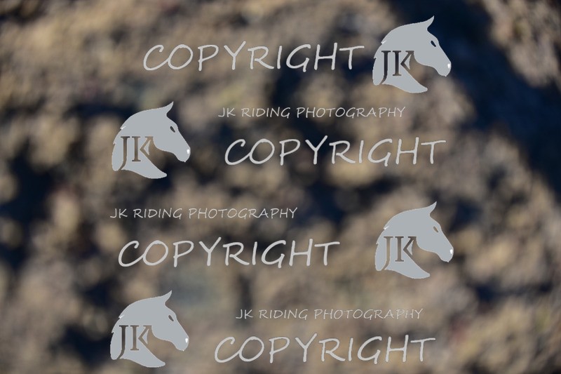 SBP_0827 - 10am - 11am