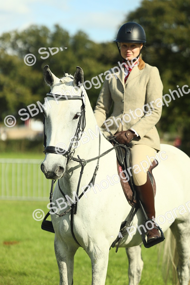 SBM_49838 - S32 - Novice & Newcomers Working Hunter