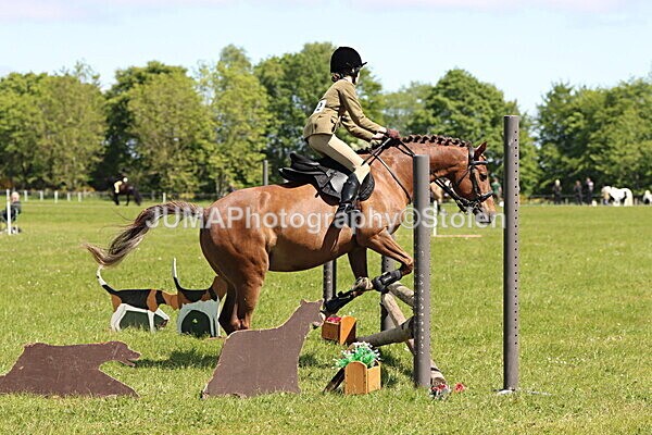 IMG_3624 - Working Hunter