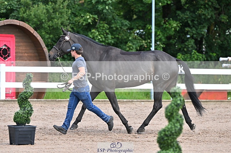 240718A-105253-01288 - Trot Up 12pm to 1pm