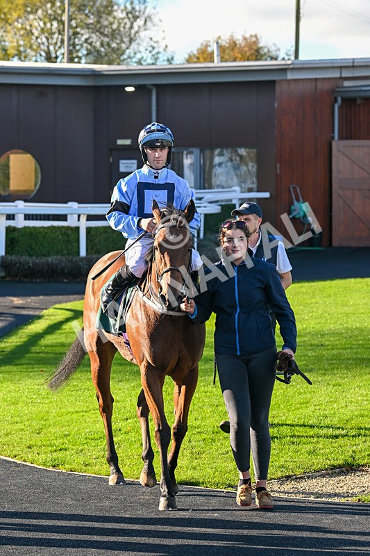 291024-Race 2-Ninety Nine-5844 - Race 2