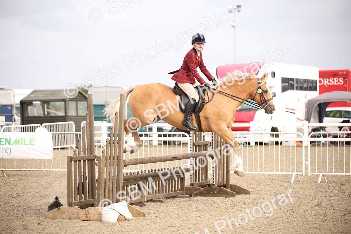 SBM_17256 - Class 410a - Wor5king Veteran 90cm (15-19)