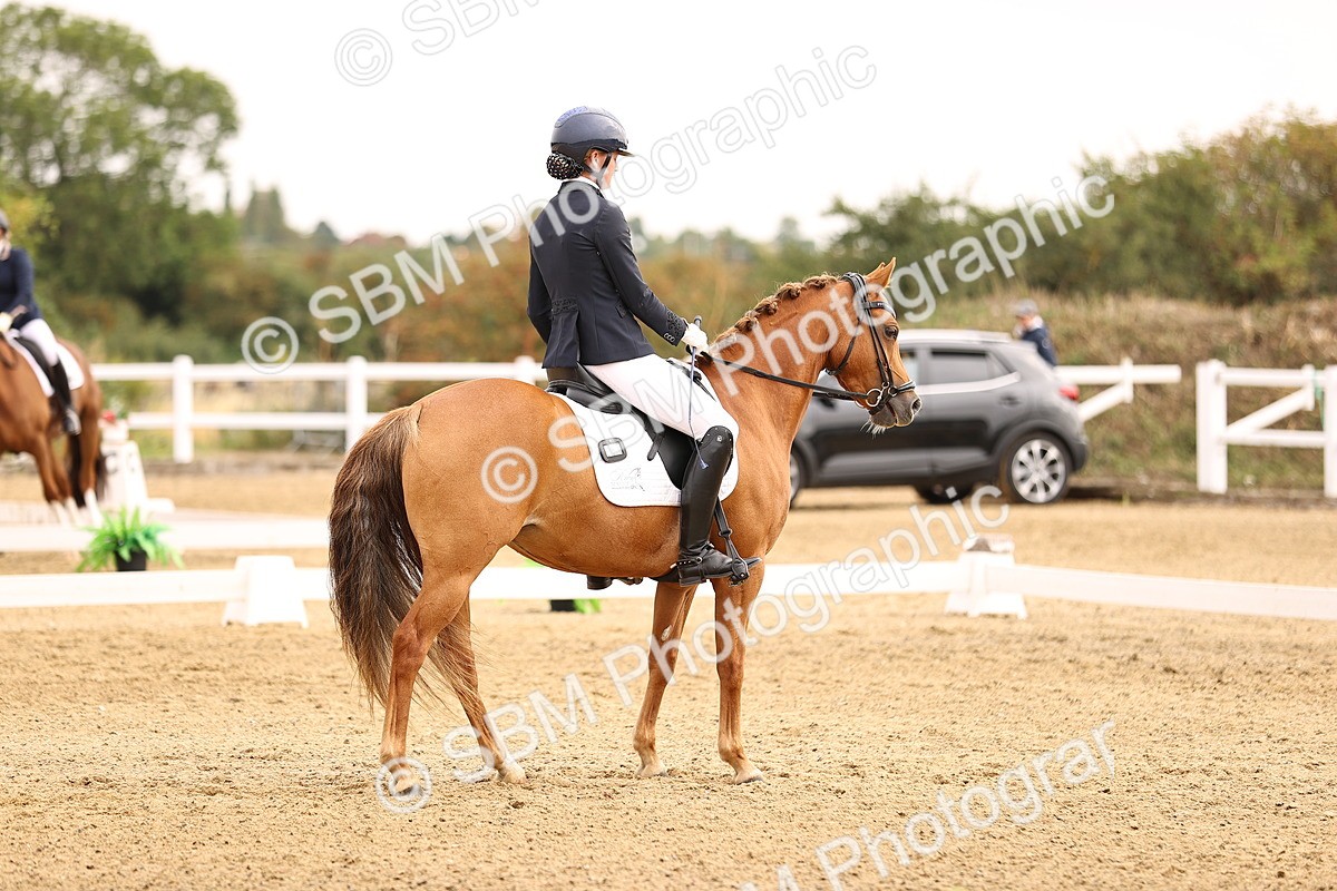 SBM_011703 - Class 1 - Medium 5