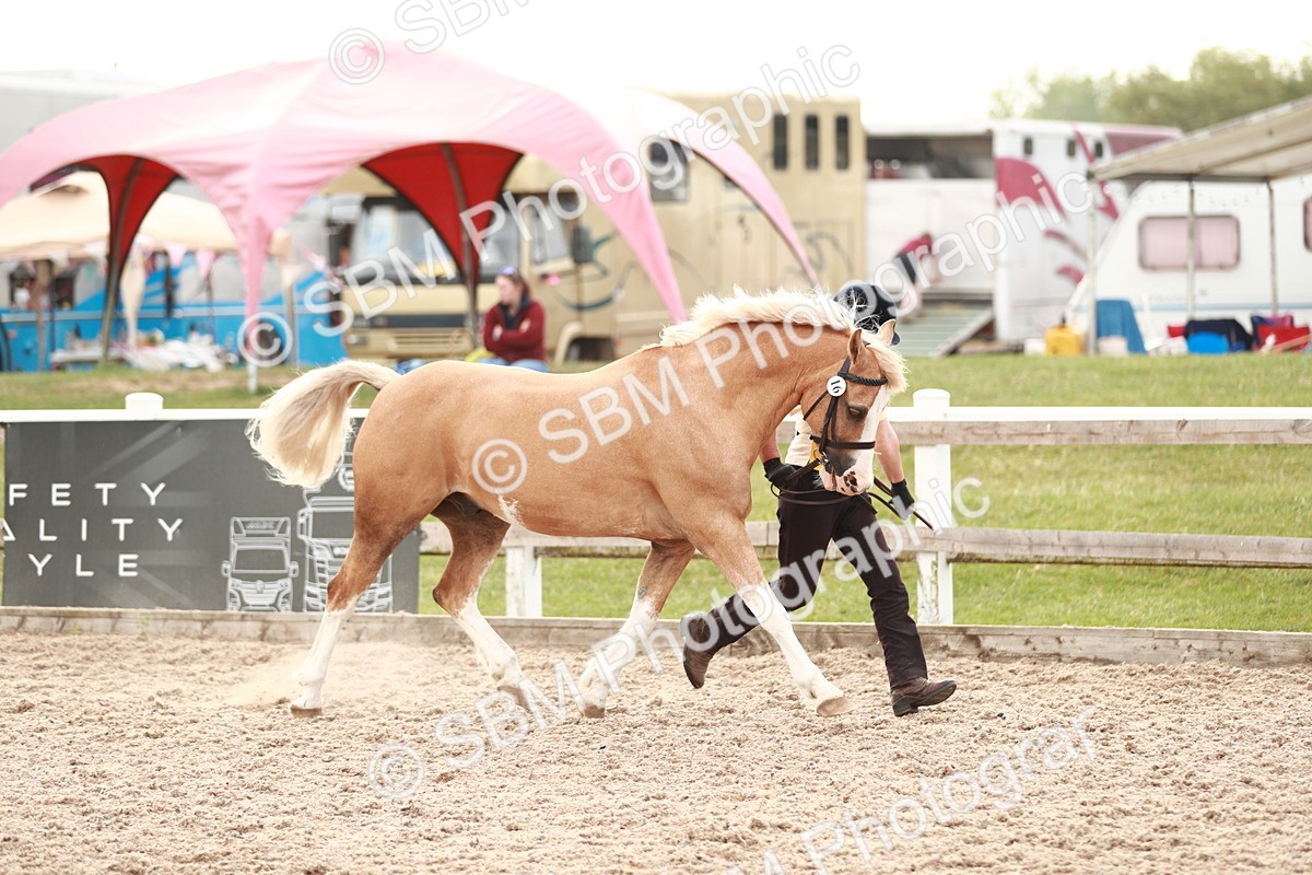 SBM_12437 - Class 207 IH M&M