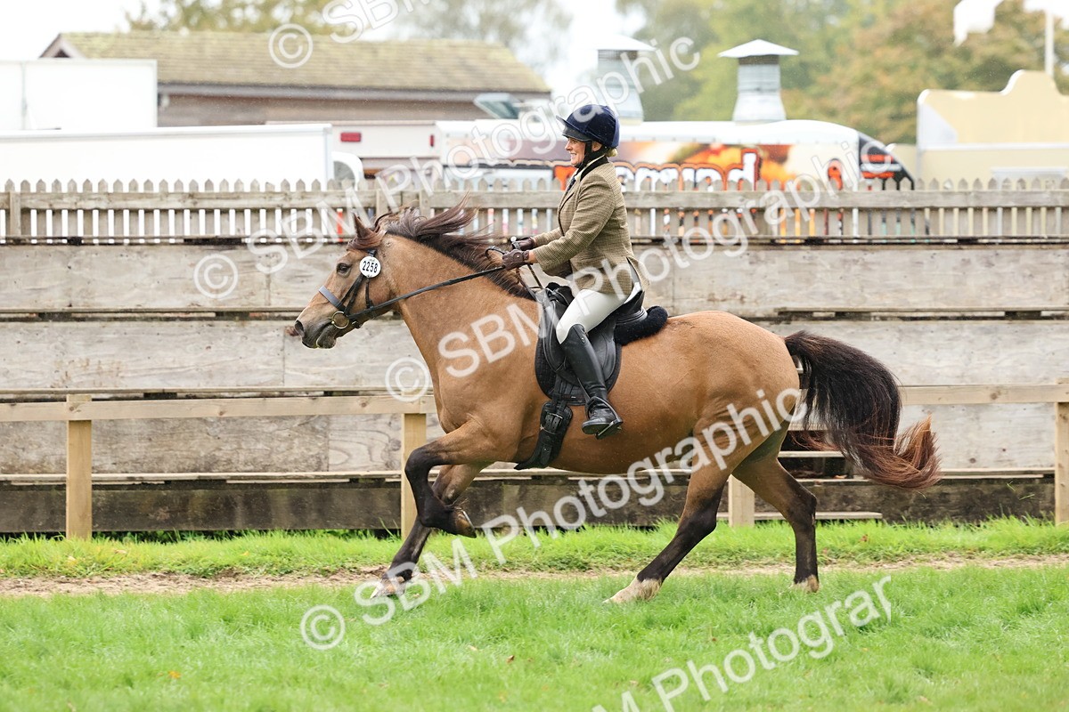 SBM_69676 - S62 - Mountain & Moorland Ridden Large Breeds
