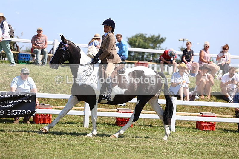 3E7A7779 - Class 7: Open Riding Horse
