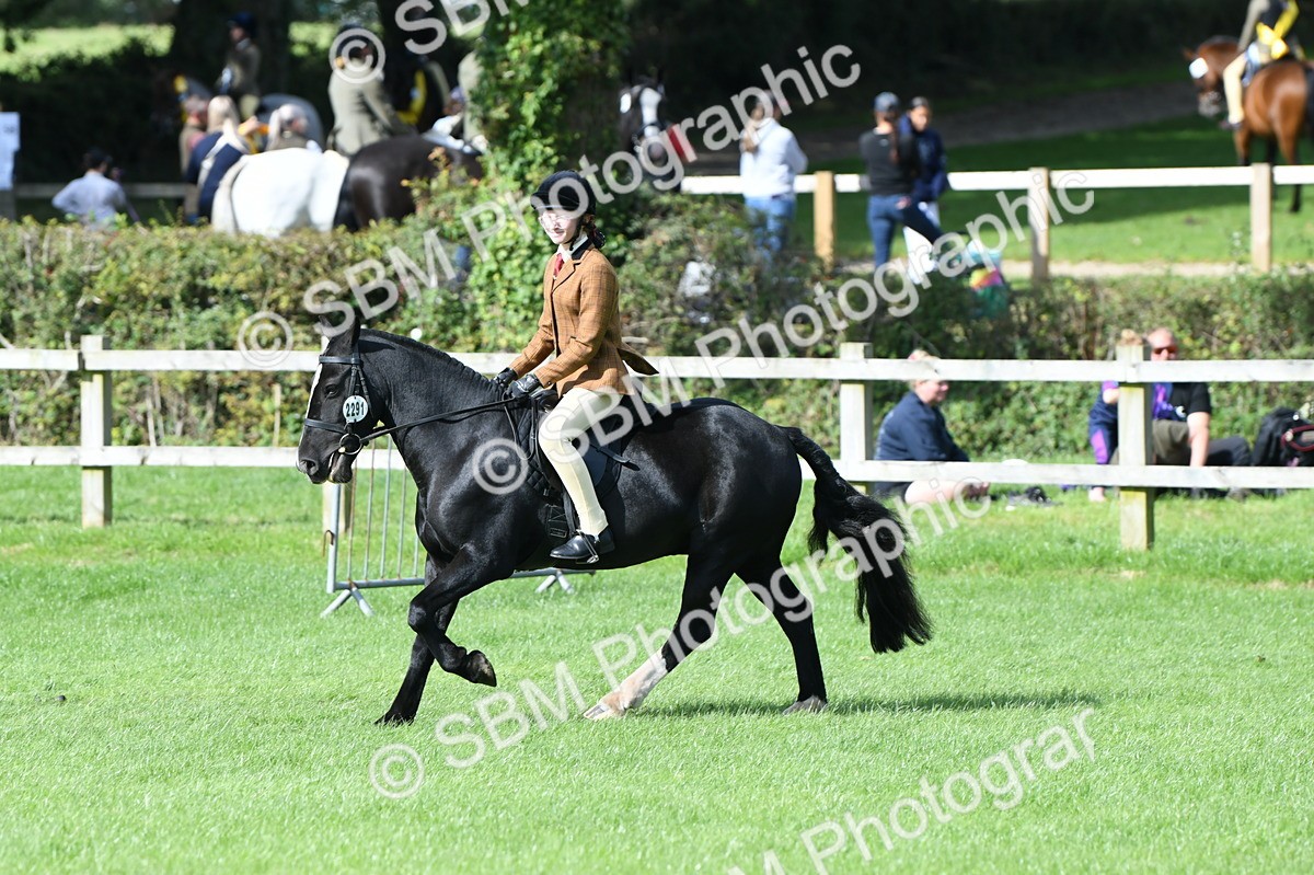 SBM_47049 - S12 - Family Horse & Pony