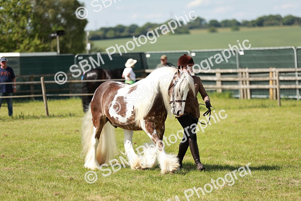 SBM_08840 - Class 63-65 - Traditional Gypsy Cobs In Hand & Ridden