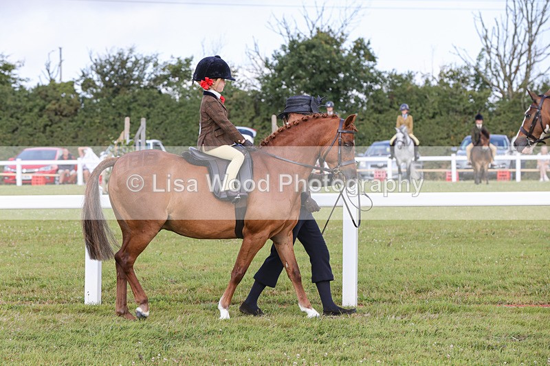 1X9A3545 - Class 29: Lead Rein SP/SHP