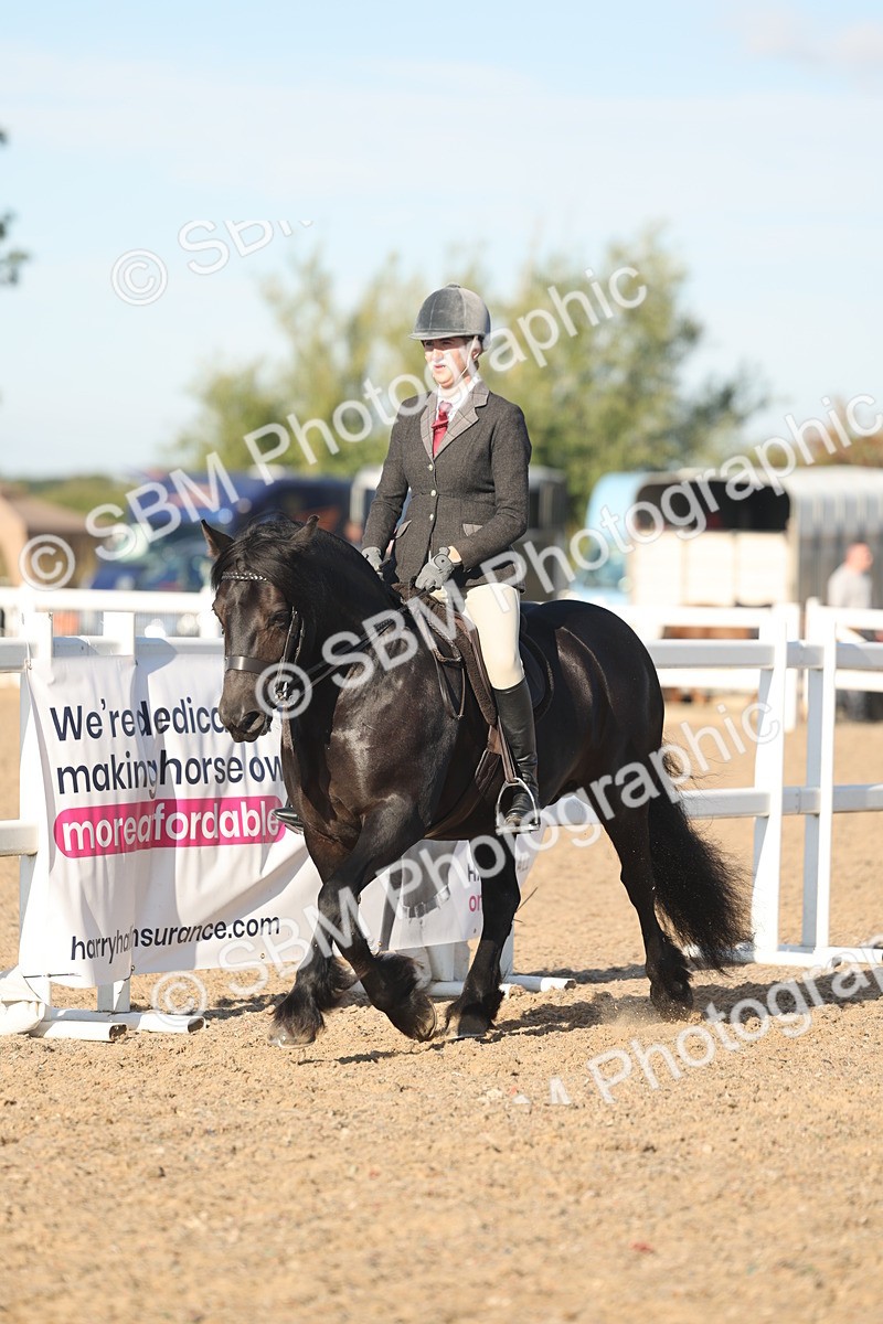 SBM_11041 - Class 302 - Ridden M&M Large Breeds