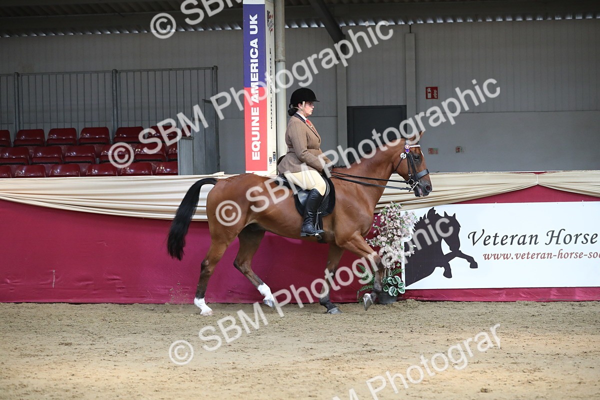 SBM_08280 - Class 11R Regional Ridden Veteran