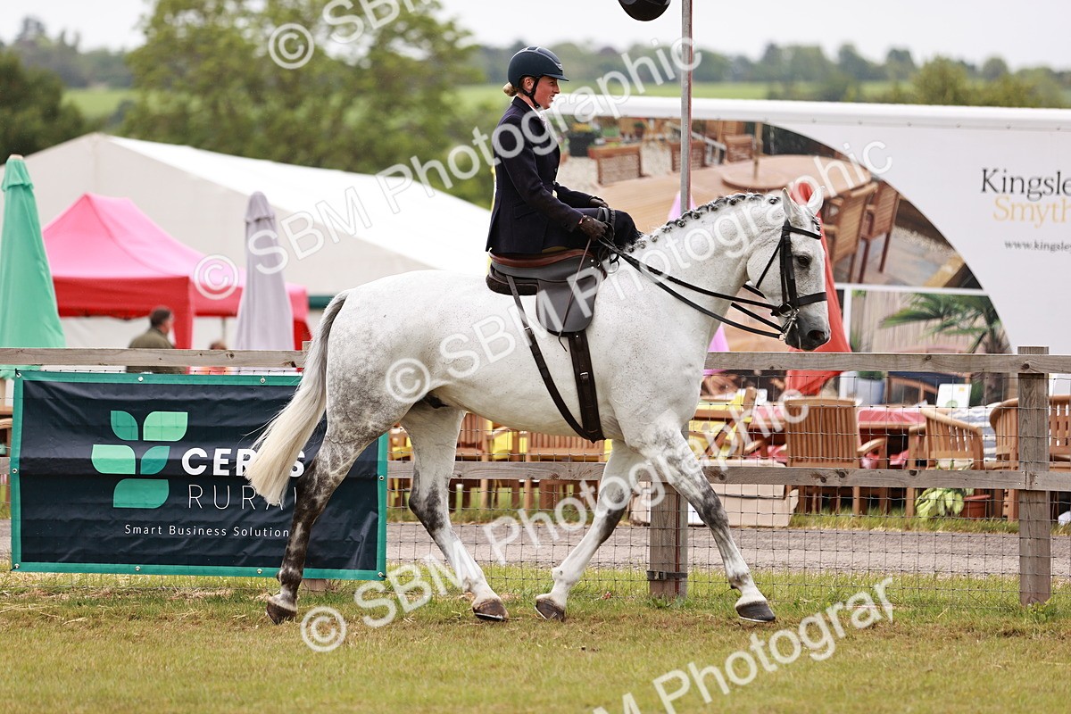 SBM_10968 - Class 81-84 - RIHS Ridden hunters Inc Ladies Hunter
