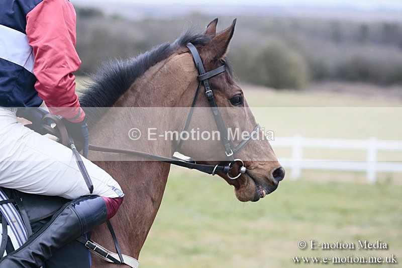 PtP 180218 481 - Combined Services Point-to-Point Larkhill 18/02/18