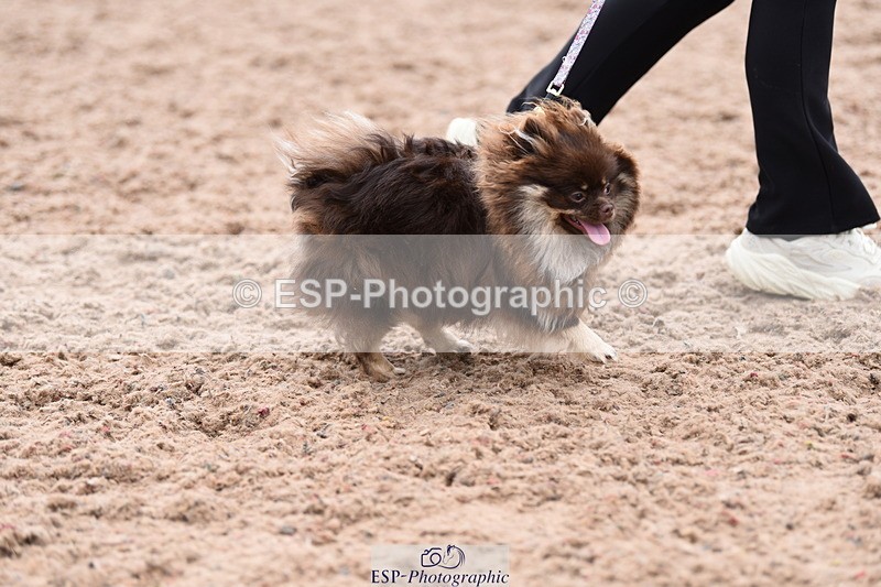 240518A-112042-00752 - Cls 1 Cutest Puppy