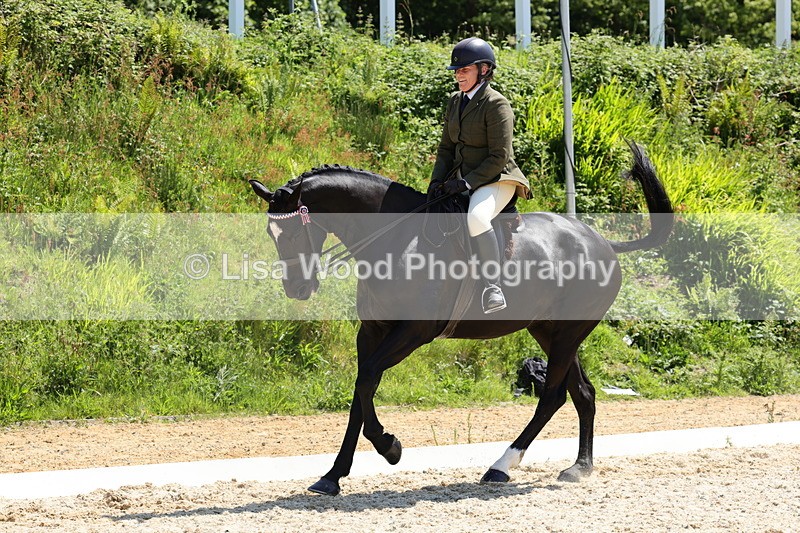 1X9A1939 - Class 12: Ridden Riding Horse/Hack