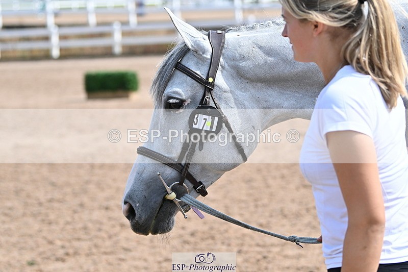 240717A-160218-03278 - Trot Up 4pm to 5pm