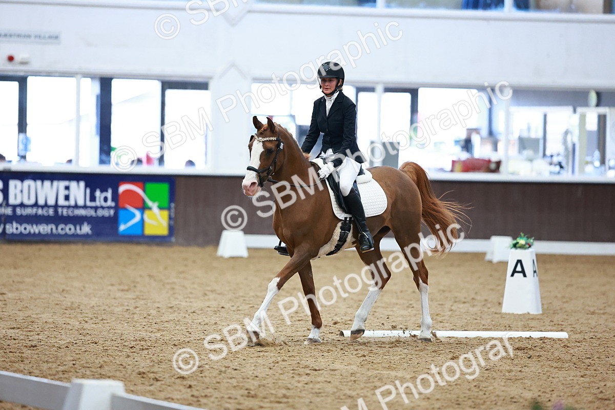 0B8A8108 - Class 5 - Novice 2