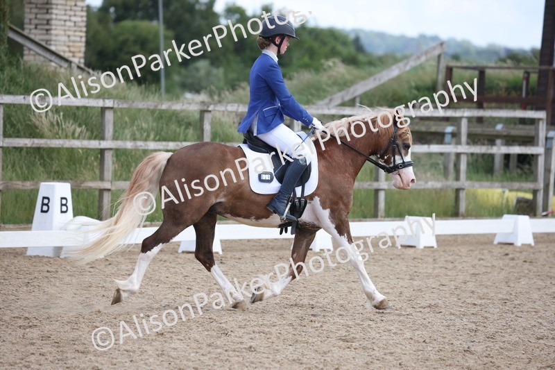 20250614-1327 - Class 6 - Elementary 1