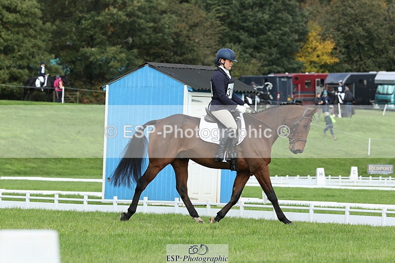 251023A-111913-03279 - D-312-Laura.Sharpe