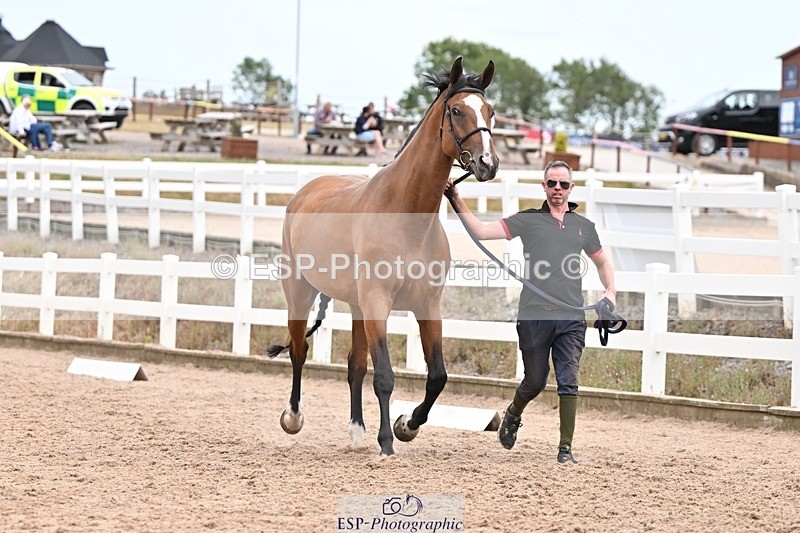 250716-155102-02220 - Trot Up 3.30 to 4.30