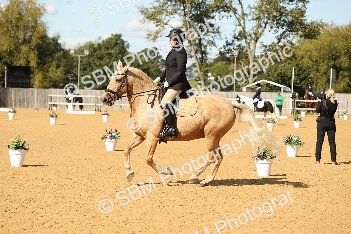 SBM_24589 - D17 - Grand Tour Championship - Novice 27