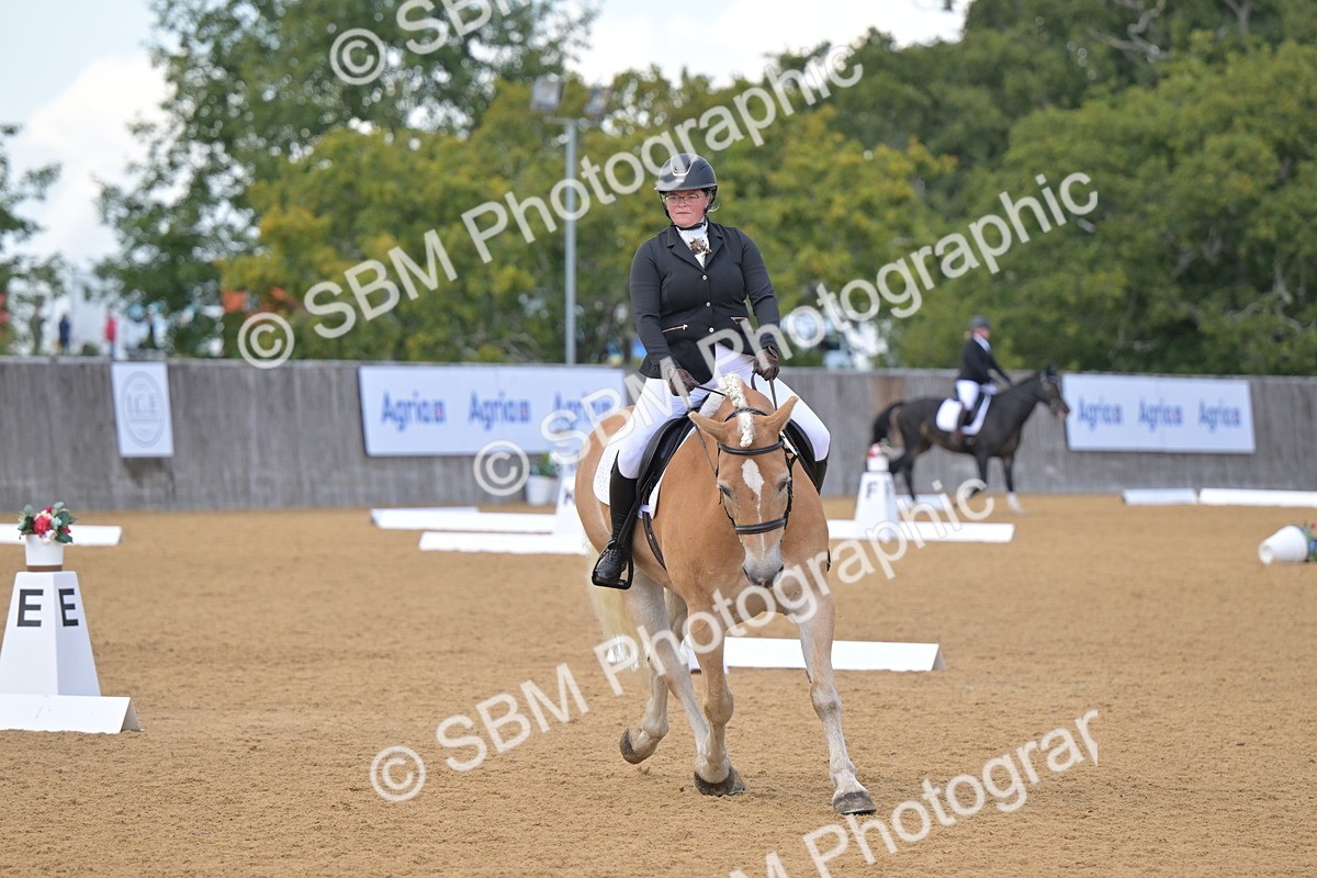 SBM_11140 - D3 - Small Tour Championship Intro 3