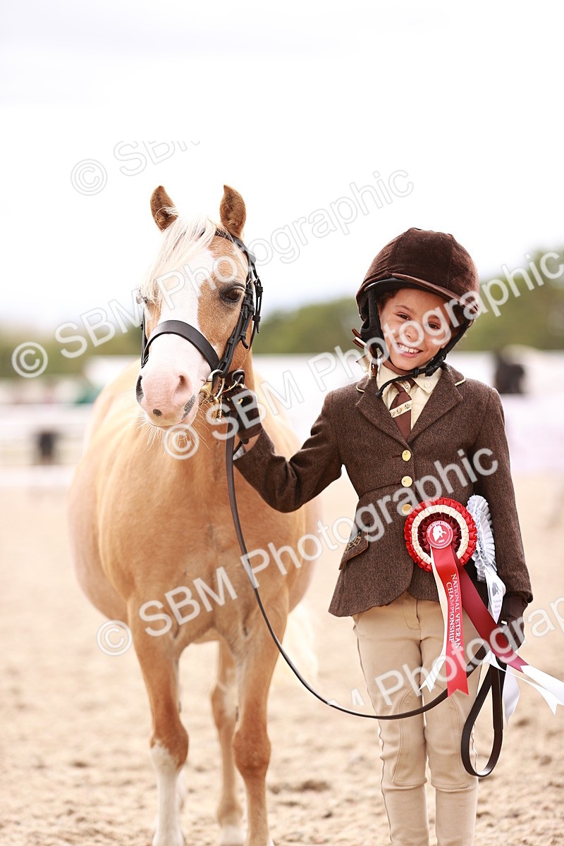 SBM_18265 - Class 416 - Prettiest Mare (IH or Ridden)Jnr