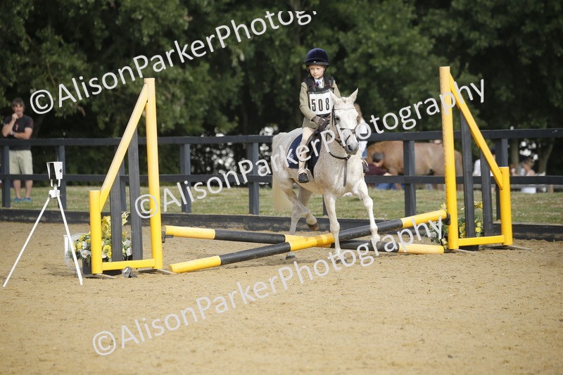 20250622-1228 - 40cm