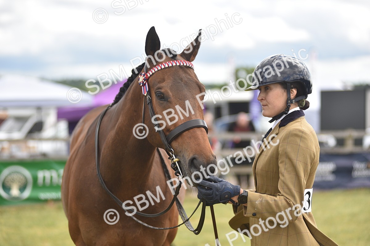 SBM_15119 - Class 113-114 - Retraining of Racehorses Ridden