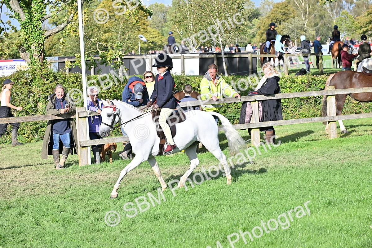 SBM_51254 - S22 - First Ridden show and show Hunter Pony