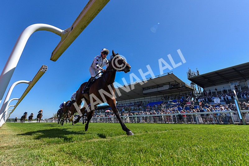 130525-Race 1-Artista-1854 - Race 1