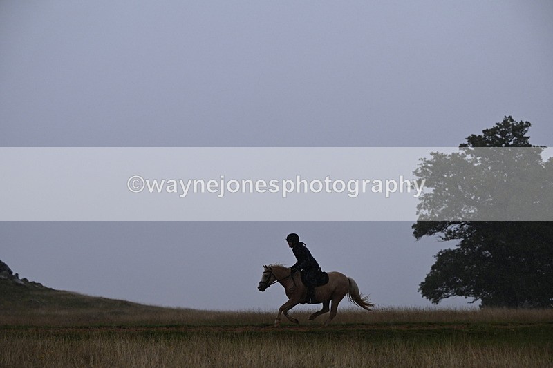 DSC_3017 - Time at Statue 12:59 to 13:49