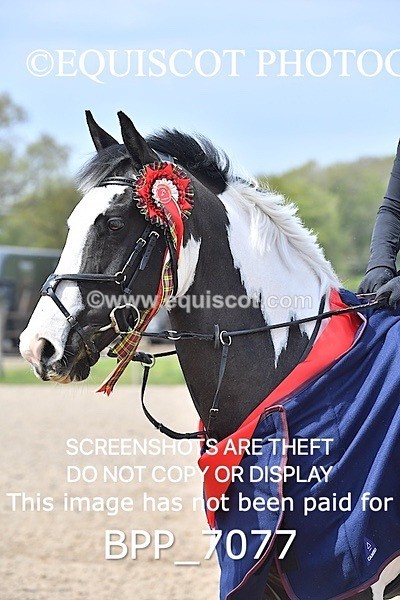 BPP_7077 - CLASS 5 FRI Veterans Show Jumping